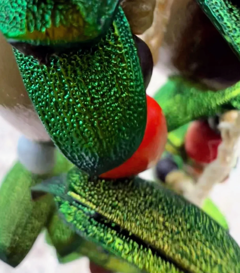 Iridescent beetle-wing beadwork