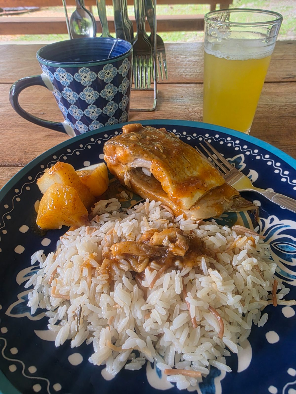 Lunch at the retreat: fresh fish, rice and juice