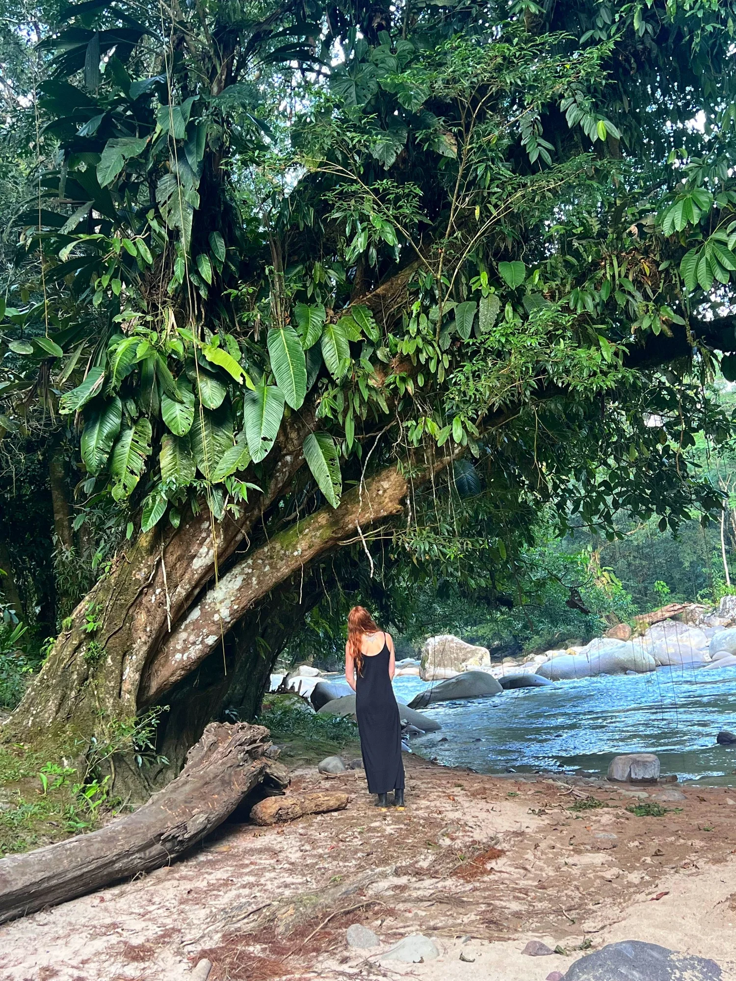 A quiet moment by the river