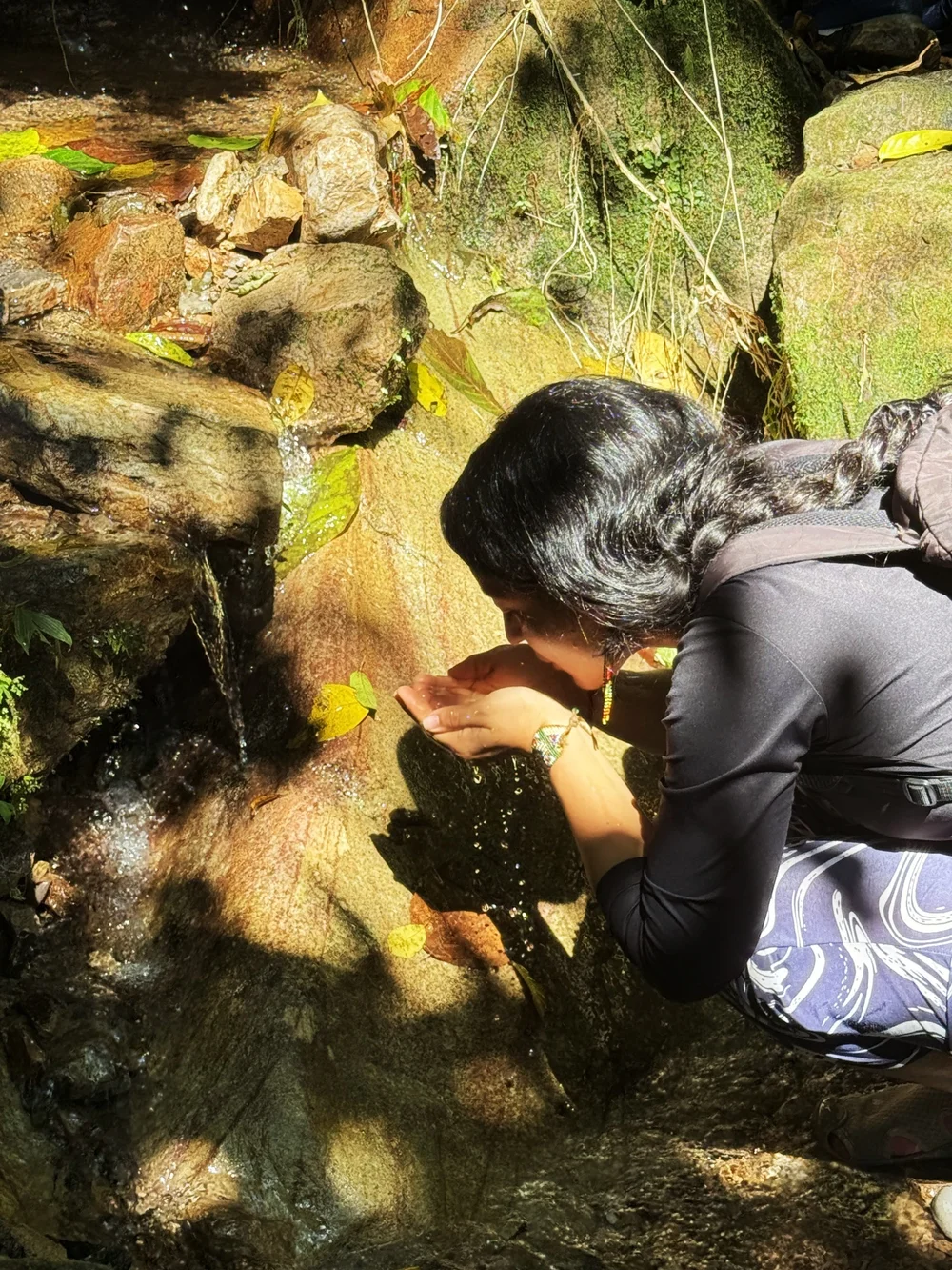 Drinking from the mountain stream