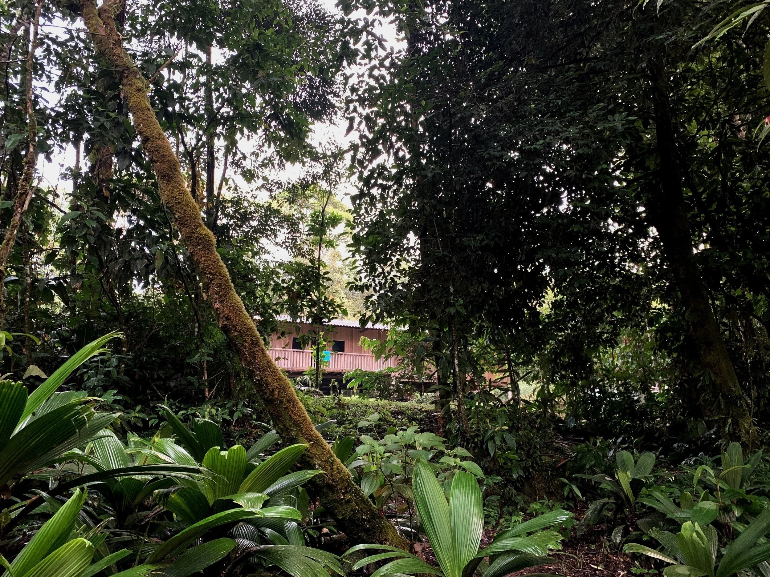 The house in the river at Ziru Yai