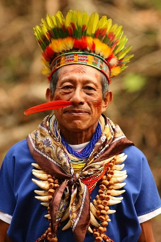 Elder Taita Erminsul Lucitante