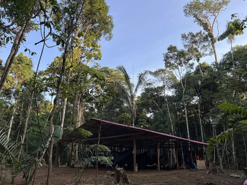The maloca in the forest by day