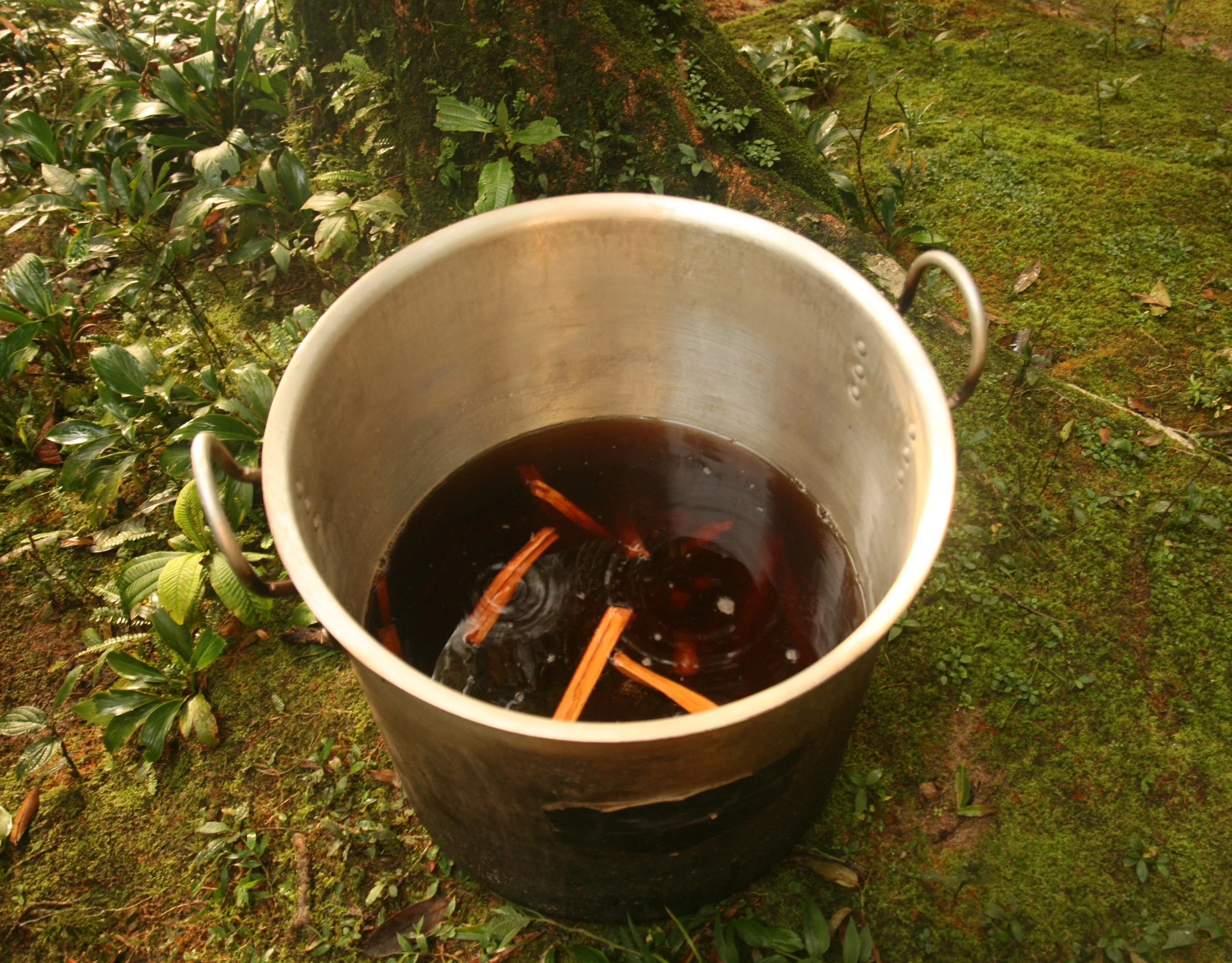 Ambar water for purging
