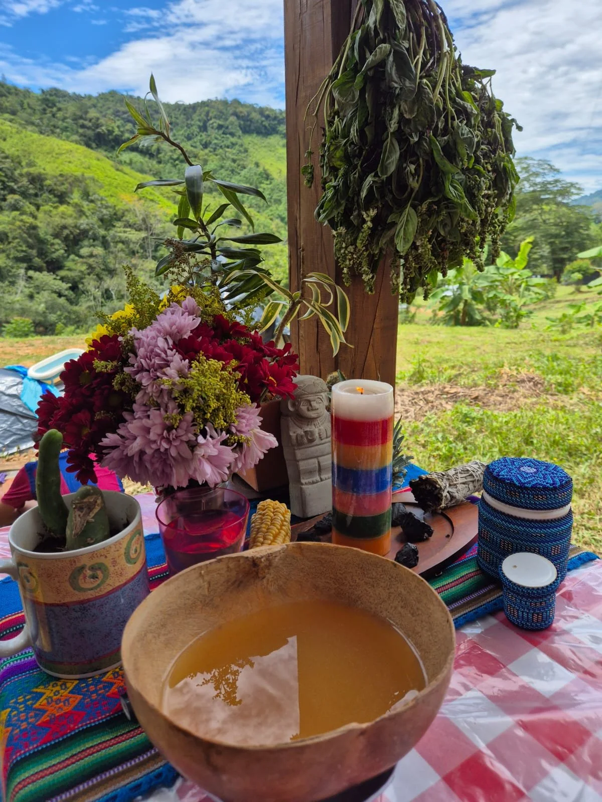 The vision quest altar with the Andean mountains behind