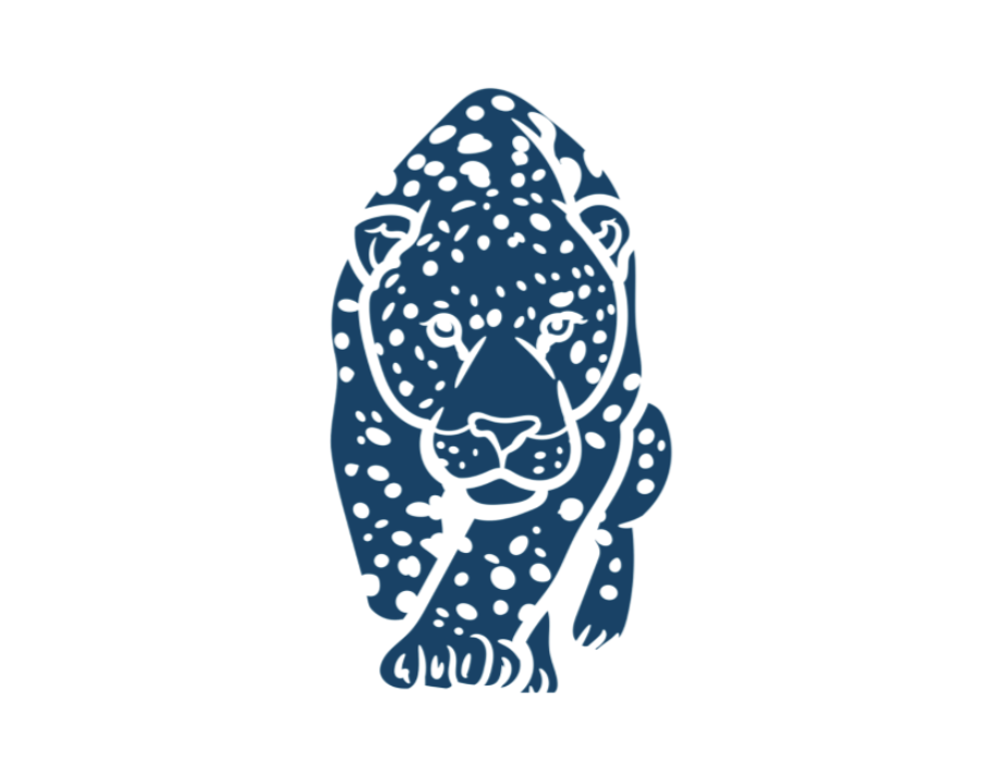 At Ziru Yai retreats, the jaguar's strength is always with us